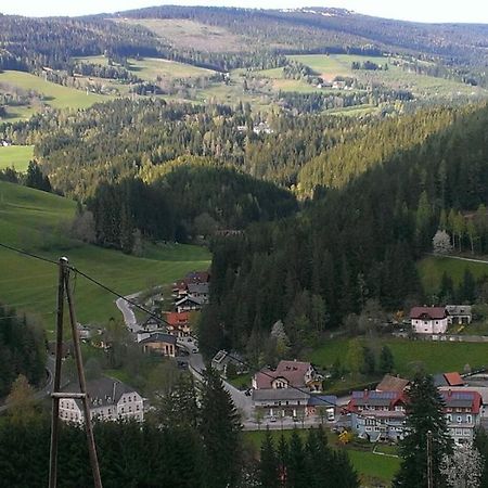 Appartement Haus Koenigshofer à Sankt Kathrein am Hauenstein Extérieur photo