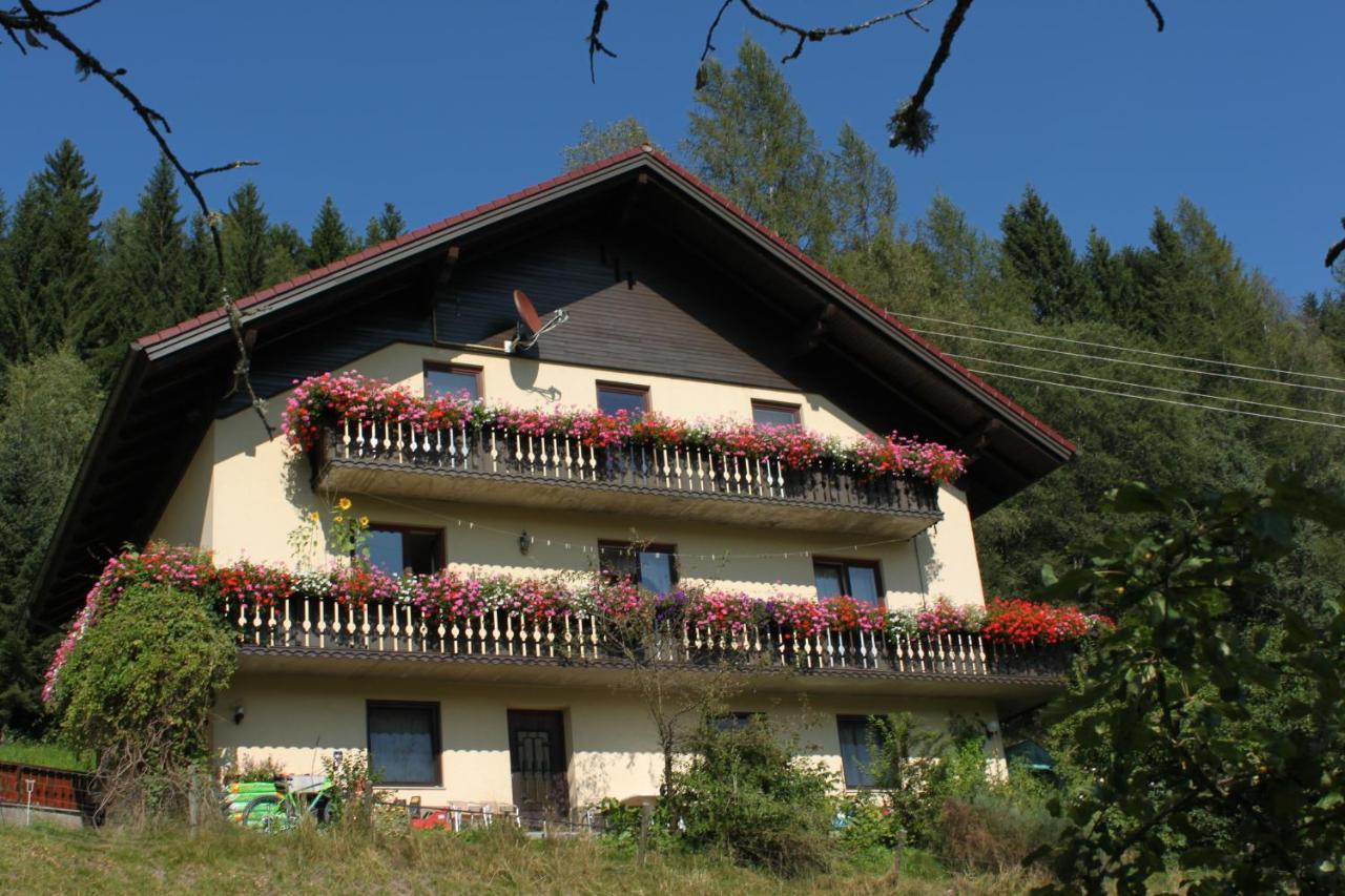 Appartement Haus Koenigshofer à Sankt Kathrein am Hauenstein Extérieur photo