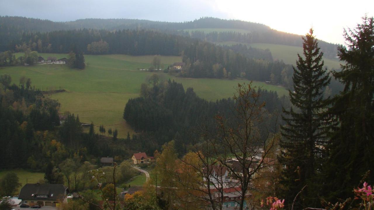 Appartement Haus Koenigshofer à Sankt Kathrein am Hauenstein Extérieur photo